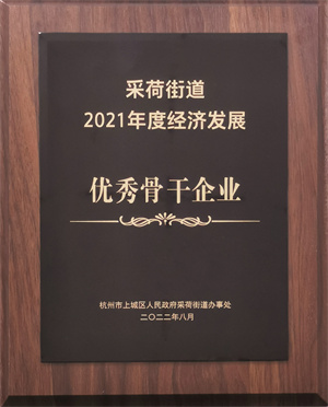 喜讯！杭州鲲腾建筑有限公司荣获上城区采荷街道“2021年度经济发展优秀骨干