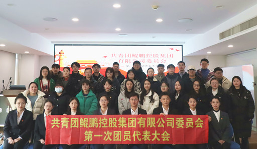 共青团鲲鹏控股集团有限公司委员会2024年度大会圆满举行，选举产生第一届“