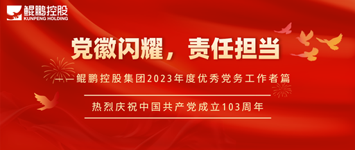 党徽闪耀，责任担当